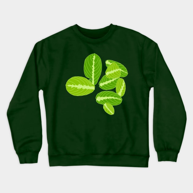 Lime maranta Crewneck Sweatshirt by terastar